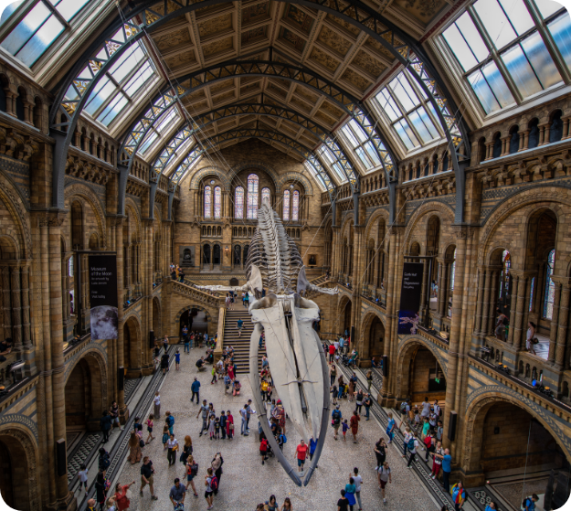 ERP musée piscine exposition museum pool ERP musée piscine exposition museum pool